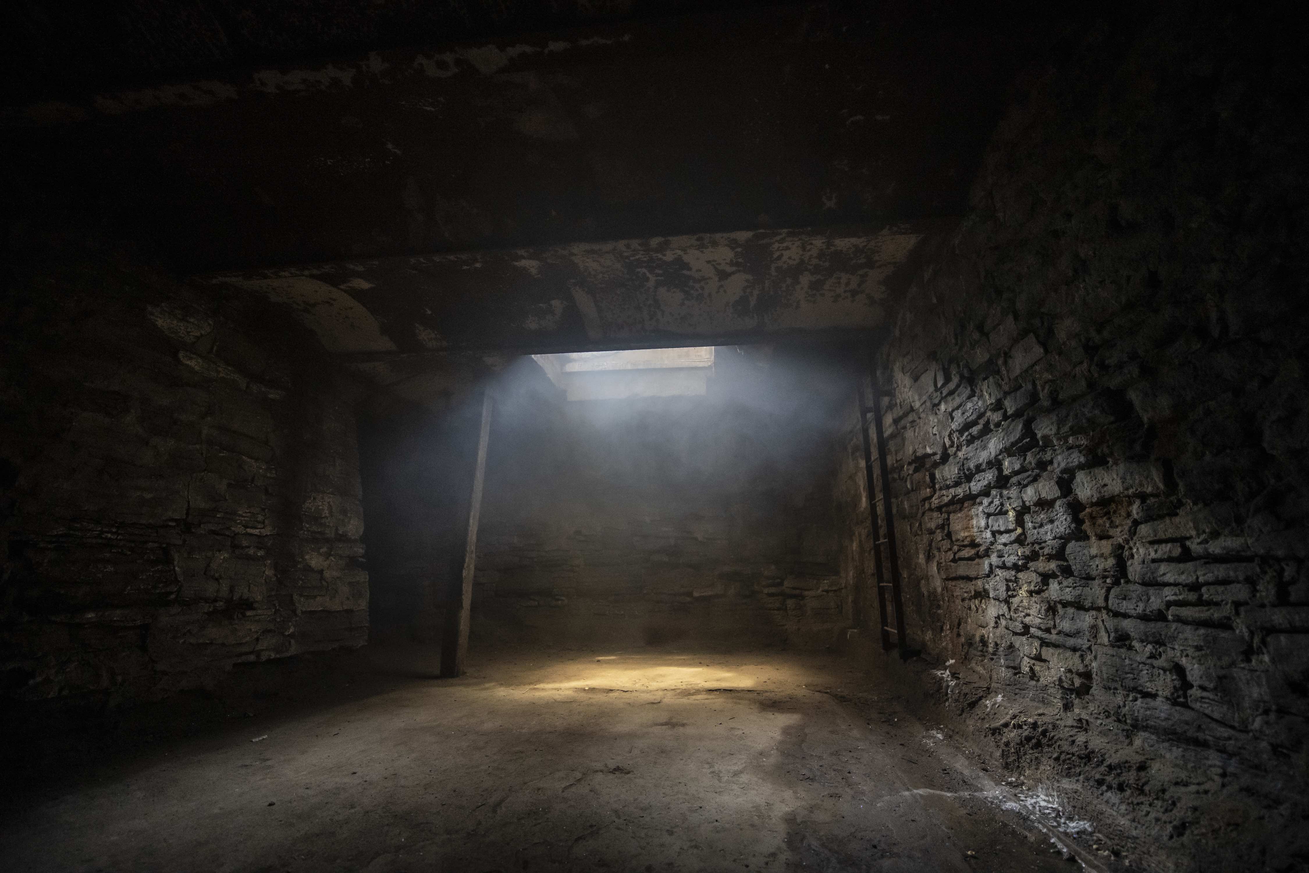 The Dungeon thumbnail 5