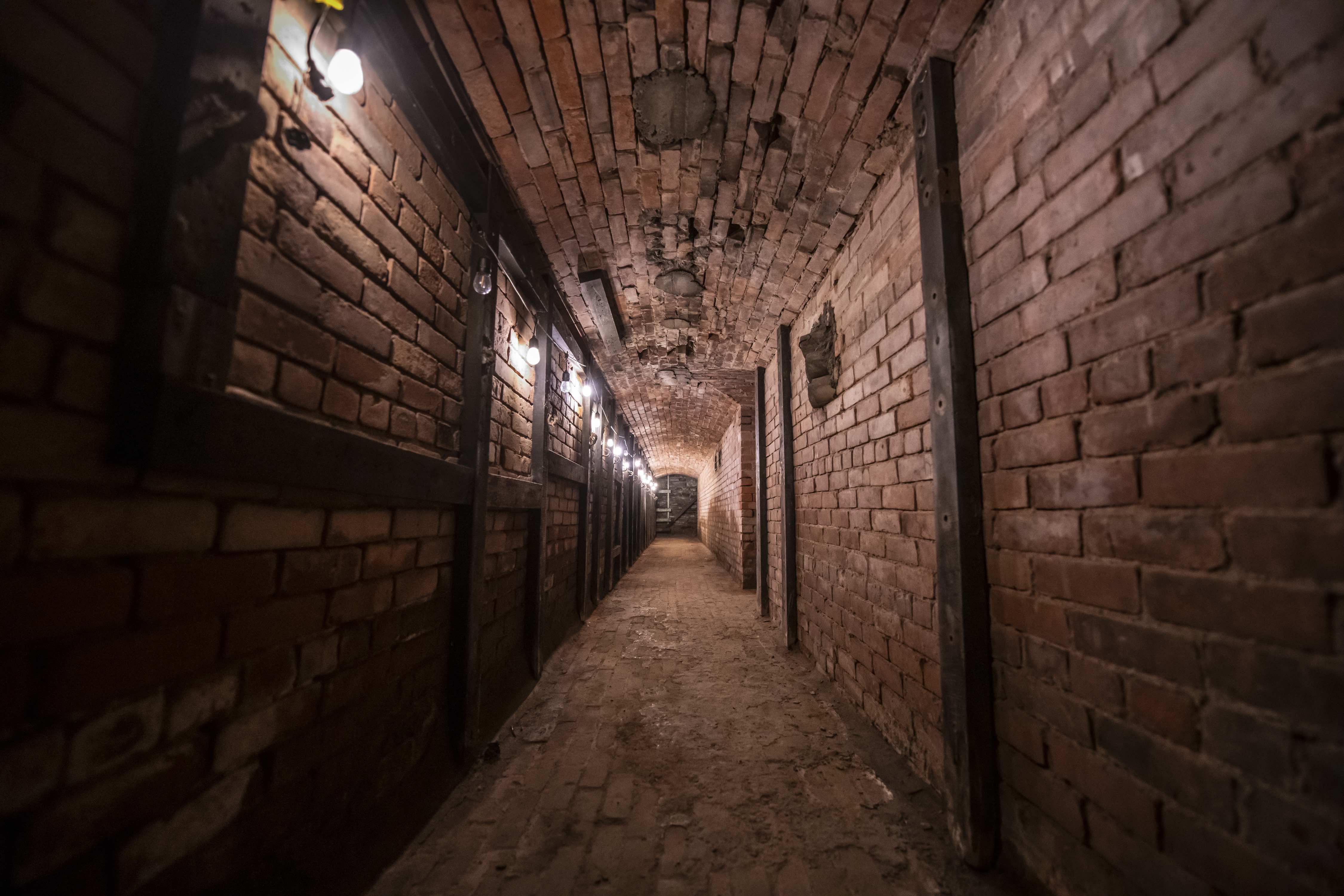 The Tunnels thumbnail 5