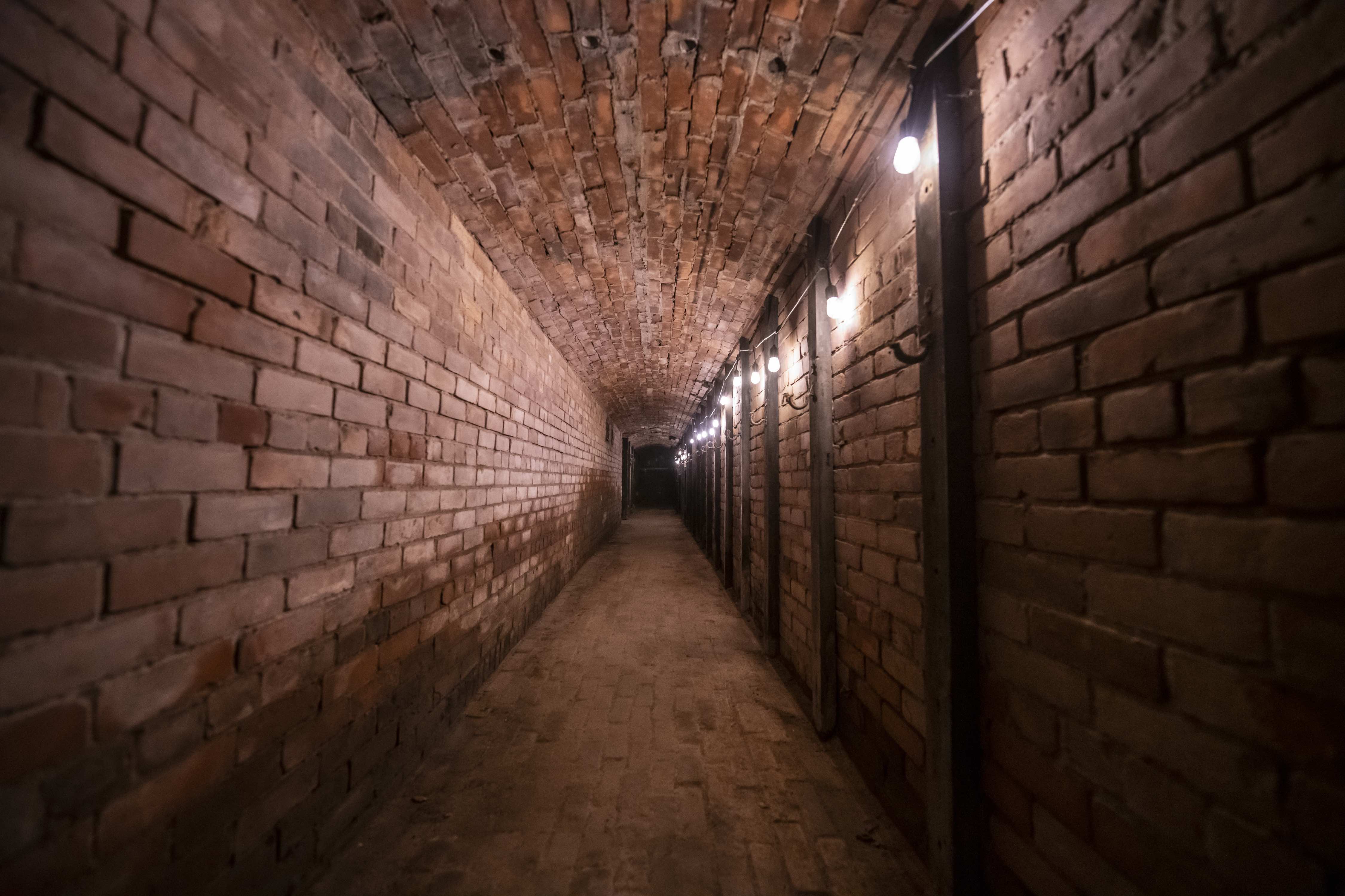 The Tunnels thumbnail 6